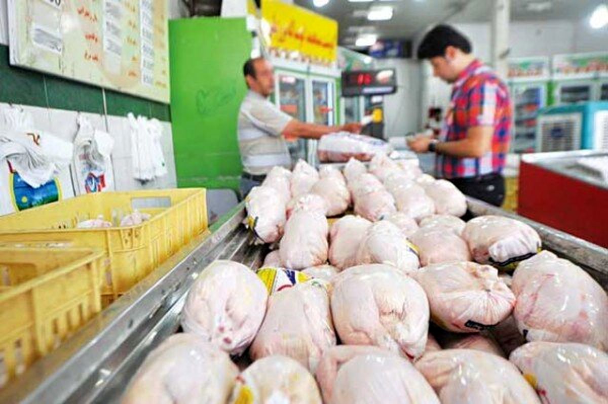 قیمت مرغ امروز بدون تغییر باقی ماند
